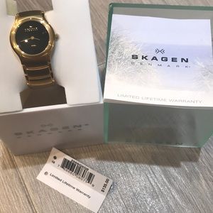 Skagen Denmark watch